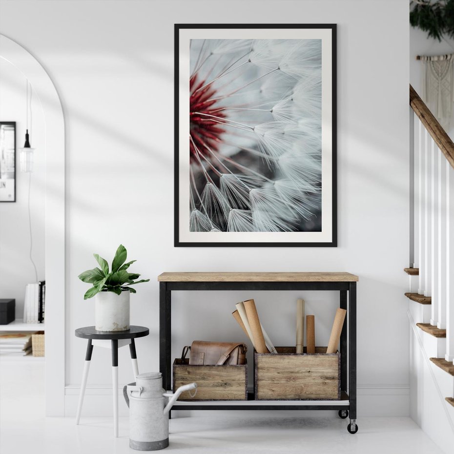 Plakat w ramie 30x40 - Makro świat dmuchawca - dmuchawiec, makro - rama czarna