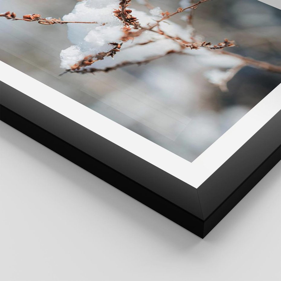 Plakat w ramie 40x50 - Zimowy Urok Natury - gałązki pod śniegiem, natura - rama czarna