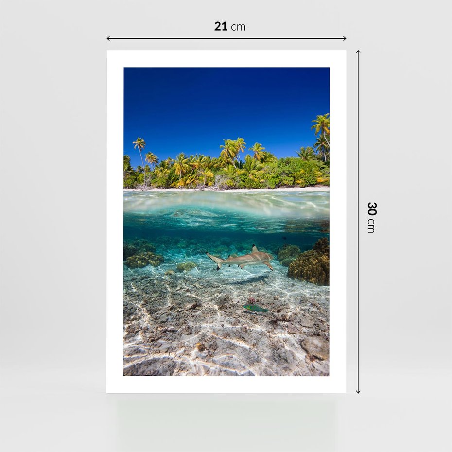 Plakat bez ramy 21x30 - Tropikalne Morze i Kolorowa Rafa - tropikalne, morze