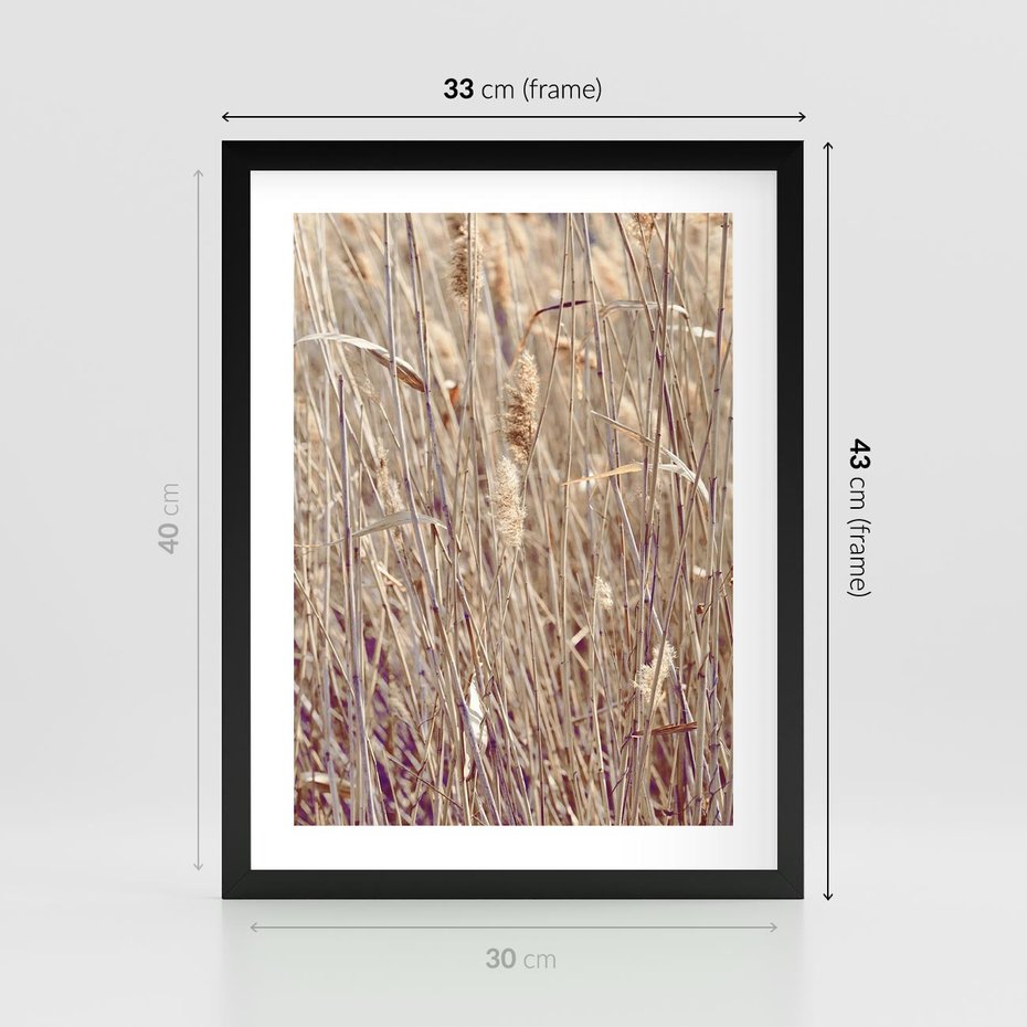 Plakat w ramie 30x40 - Suche Trawy w Wyjątkowym Stylu - suche trawy, boho styl - rama czarna