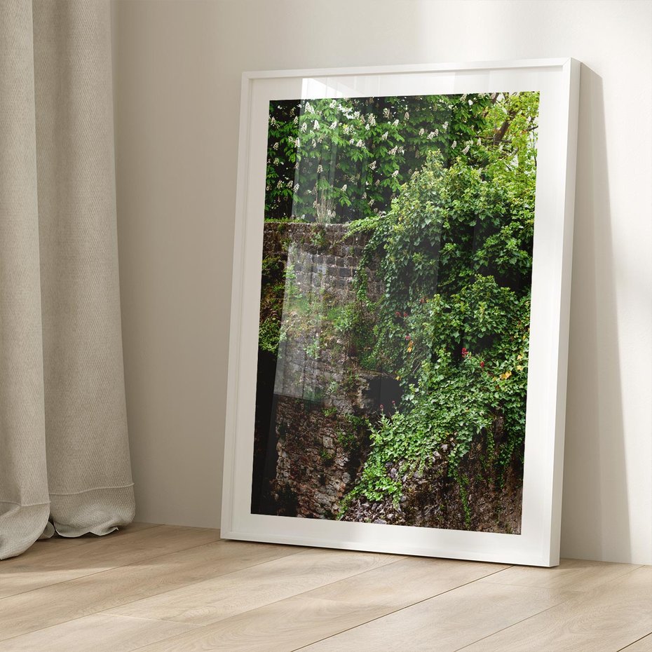 Plakat bez ramy 21x30 - Żywiołowa Zieleń - mur, liście