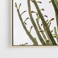 Obraz w ramie 50x50 - Ekskluzywna Roślinność - kaktusy, liście - rama drewno