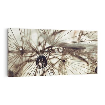 Obraz na płótnie 120x60 - Lekkie dmuchawce - dmuchawce, krople