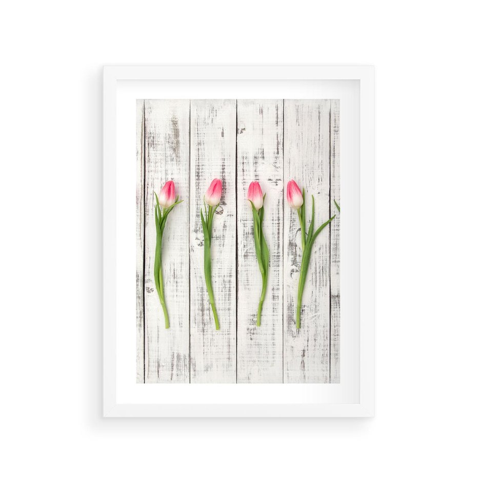 Plakat w ramie 30x40 - Kwintesencja Piękna - kwiaty, tulipany - rama biała