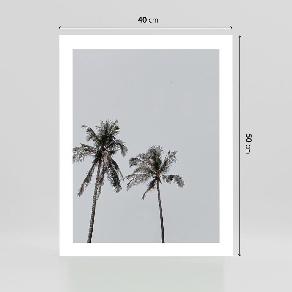 Plakat bez ramy 40x50 - Tropikalny Raj: Palmy i Niebo - palmy, niebo