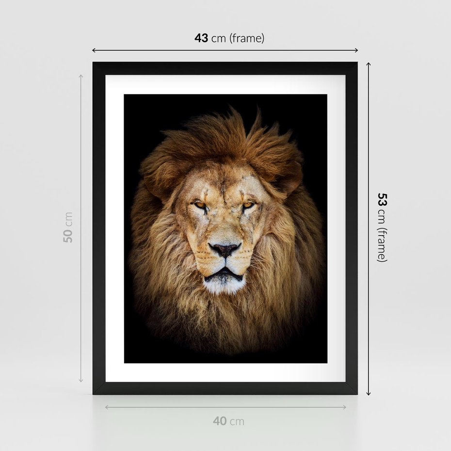 Plakat w ramie 40x50 - Król zwierząt w majestatycznym stylu - lew, król - rama czarna