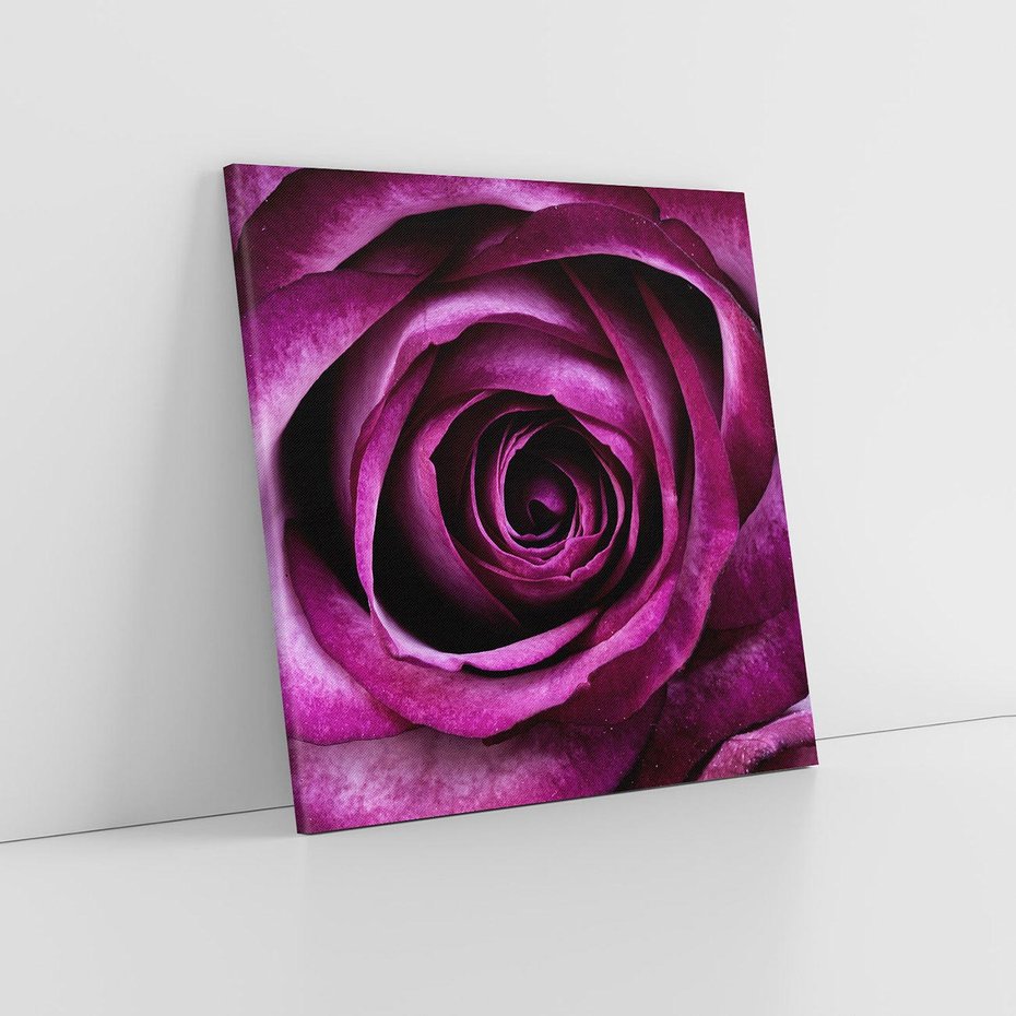 Obraz na płótnie 60x60 - piękno w delikatności - róża, kwiat