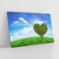 Obraz na płótnie 70x50 - Drzewo sercem nieba - drzewo, serce