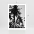 Plakat bez ramy 21x30 - Mono Tropiki - palmy, drzewa palmowe