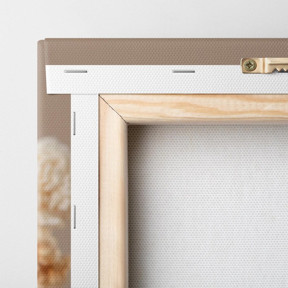 Obraz na płótnie 80x120 - Przezroczyste piękno - gipsówka, suche