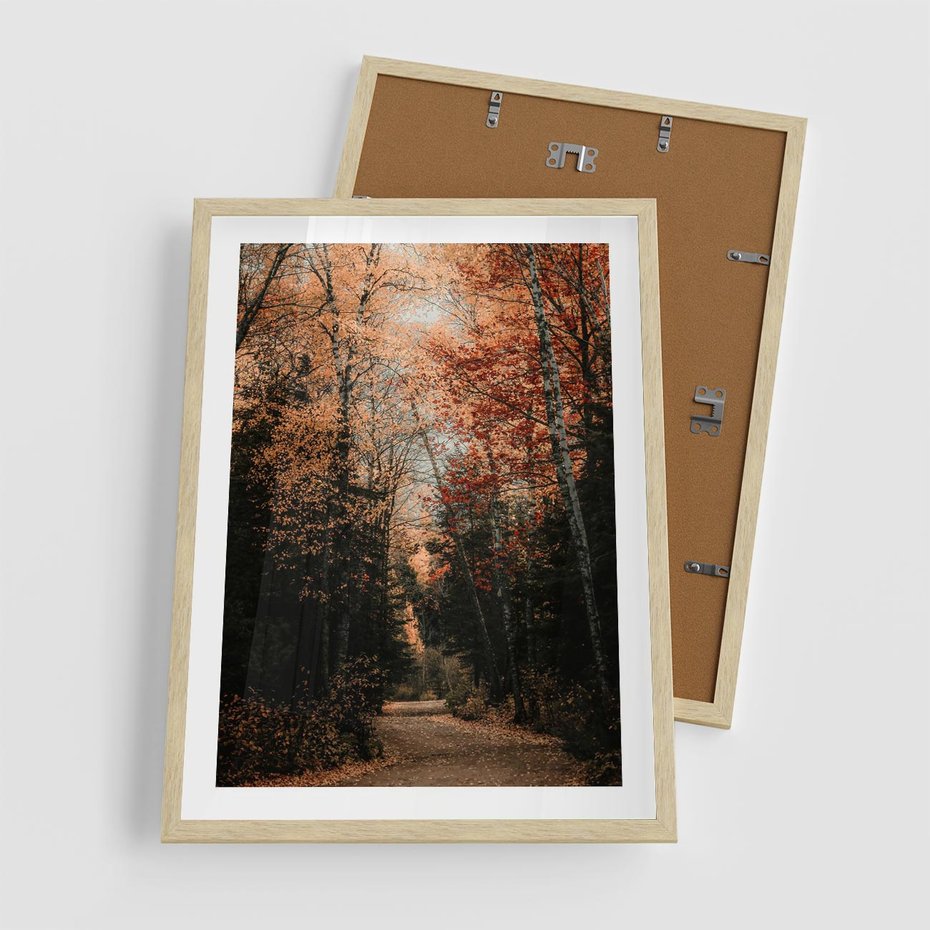 Plakat w ramie 50x70 - Drzewa w Czerwonych Liściach - las, jesienny las - rama drewno