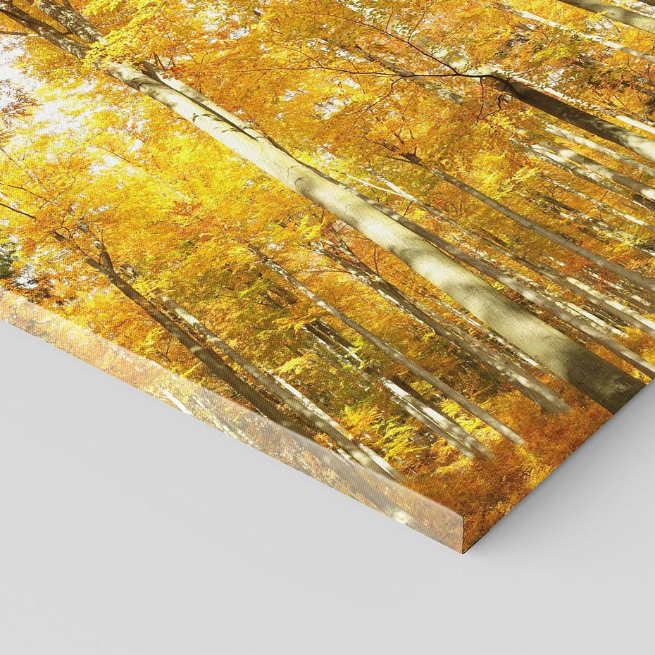 Obraz na płótnie 60x60 - Jesienny Las - Kolorowa Paleta Natury - jesień, drzewa