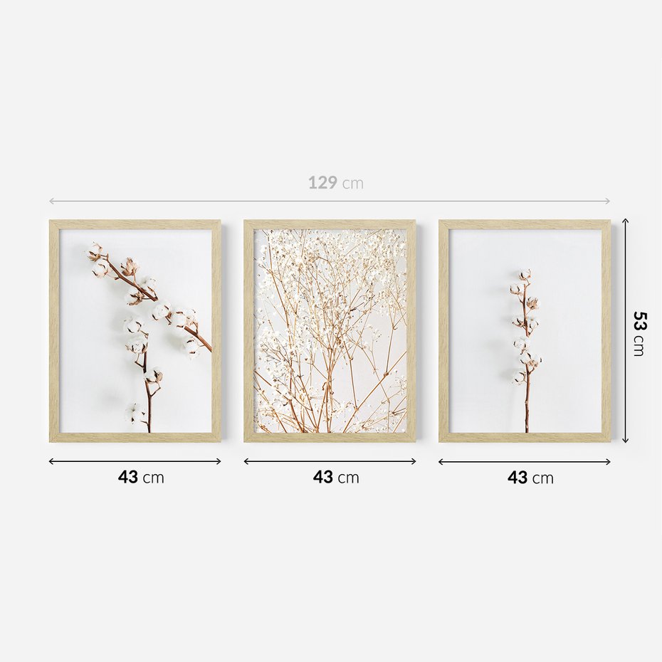Zestaw obrazy w ramie 40x50 galeria - Gipsówka, bawełna, kwiaty, susz - rama drewno