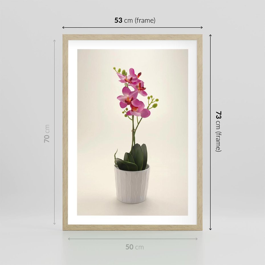 Plakat w ramie 50x70 - Delikatność storczyka orchidei - storczyk, orchidea - rama drewno