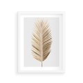 Plakat w ramie 30x40 - Złoty blask palmowego liścia - złota, palma - rama biała