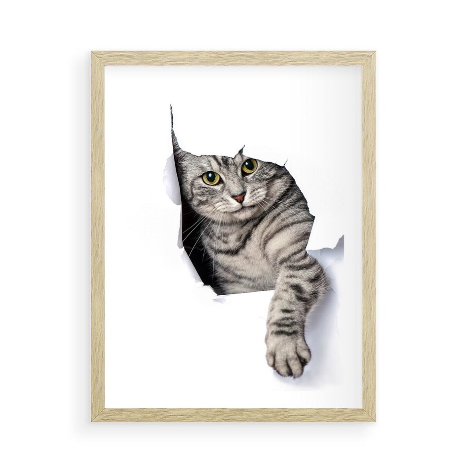 Plakat w ramie 50x70 - Tajemniczy kot i jego świat - kot, dziura - rama drewno
