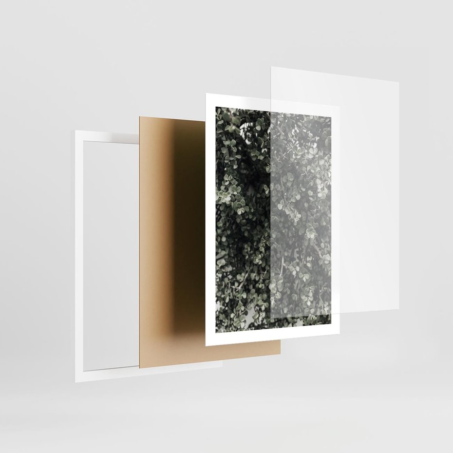 Plakat w ramie 50x70 - Jasnozielone Liście i Gałązki - liście, gałązki - rama biała