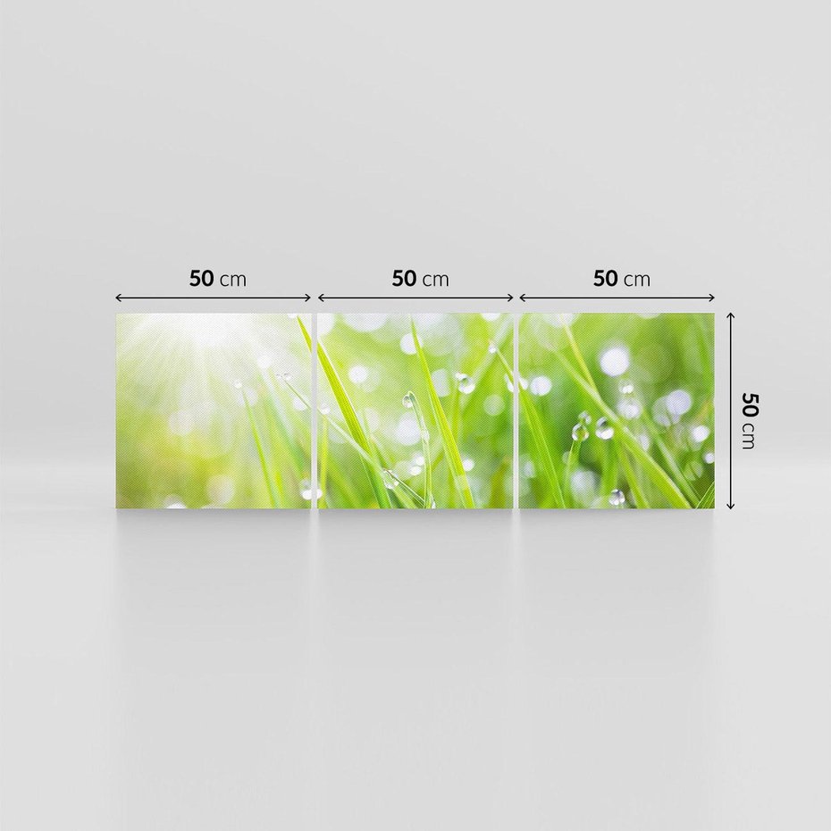 Obraz na płótnie 150x50 - Delikatna trawa pokryta rosą - trawa, rosa