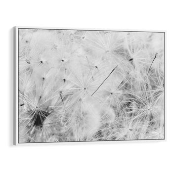 Obraz w ramie 100x70 - Zdmuchnięty Puch - dmuchawce, delikatne - rama biała