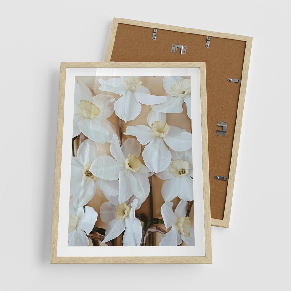 Plakat w ramie 50x70 - Białe Narcyzy - narcyzy, kwiaty - rama drewno