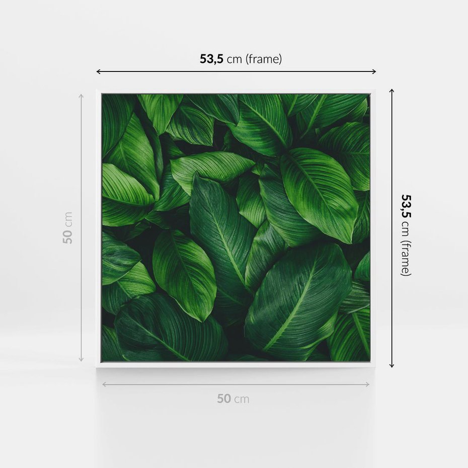 Obraz w ramie 50x50 - Palma Liście Kwiat - palma, liście - rama biała