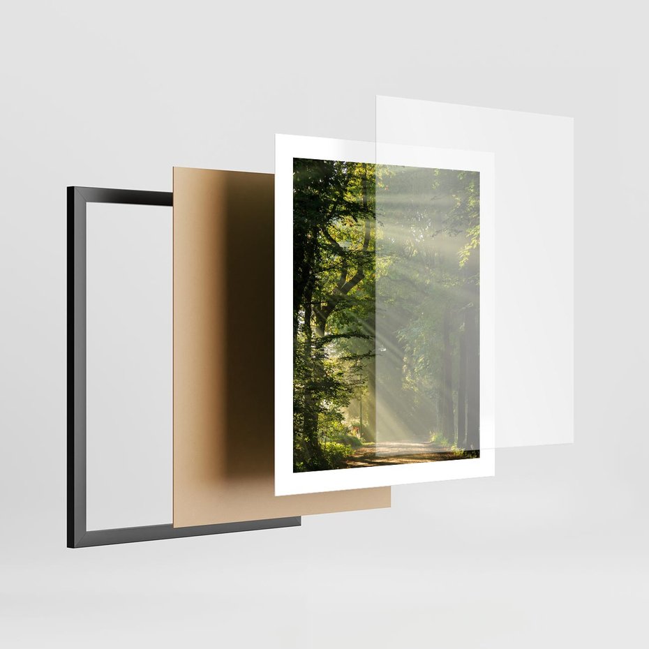 Plakat w ramie 40x50 - harmonia natury - las, drzewa - rama czarna