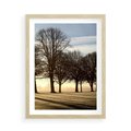 Plakat w ramie 50x70 - Siła natury - drzewa, pole - rama drewno