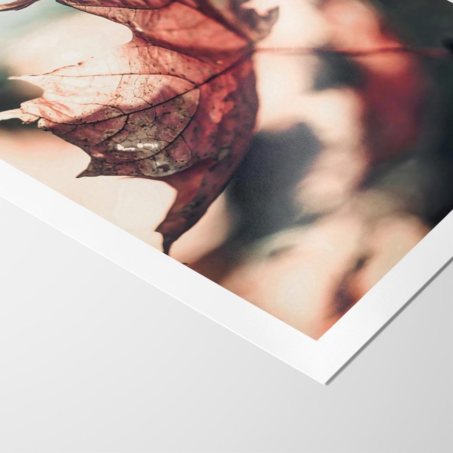 Plakat bez ramy 50x70 - Liść w Jesieni - jesienny liść, czerwony