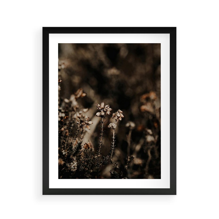 Plakat w ramie 40x50 - Jesienny Urok - suche trawy, jesienny pejzaż - rama czarna