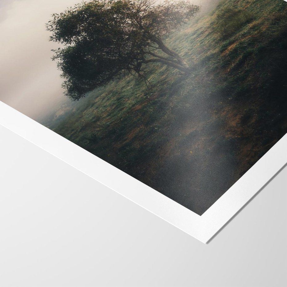 Plakat bez ramy 40x50 - Zamglona Prostota - artystyczna fotografia, samotne drzewo na zamglonej łące