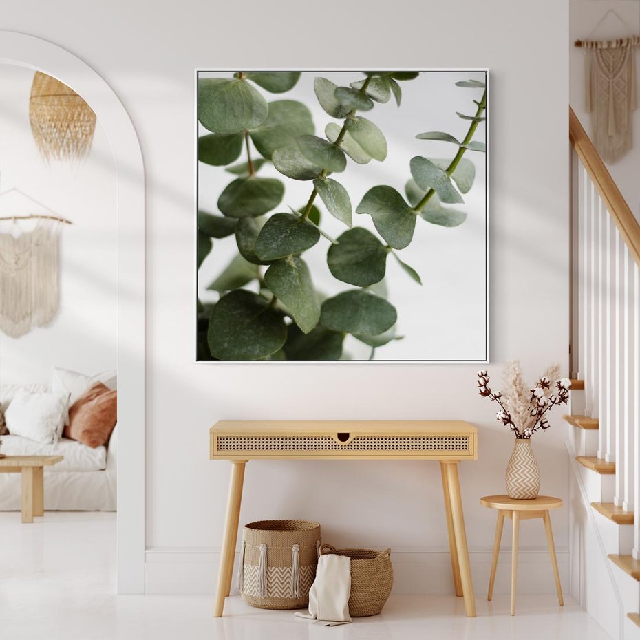Obraz w ramie 50x50 - Zielone eukaliptusy - eukaliptus, liście - rama biała