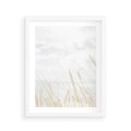 Plakat w ramie 40x50 - Jasna Delikatność: Fotografia Suchych Traw - suche trawy, jasna fotografia - rama biała