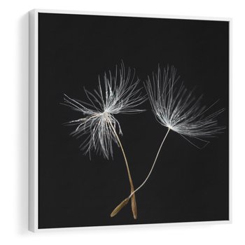 Obraz w ramie 80x80 - Delikatność Wiatru - dmuchawce, makro - rama biała