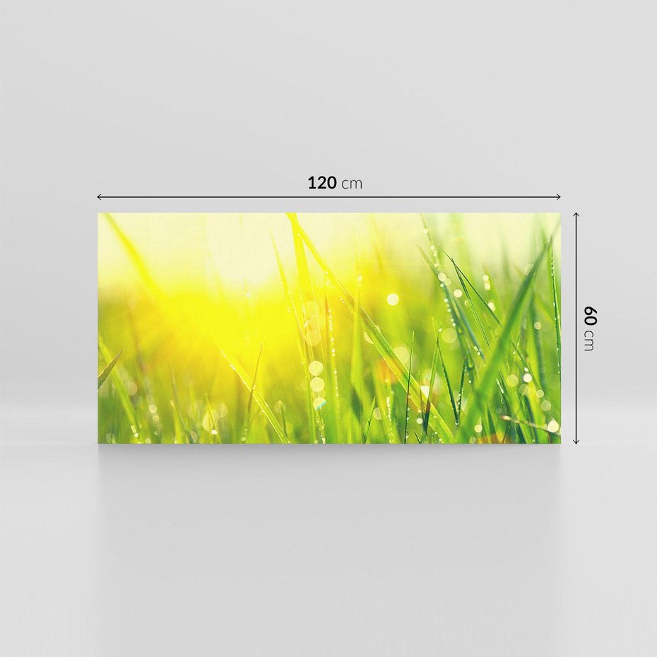 Obraz na płótnie 120x60 - Piękno Poranka - łąka, trawa