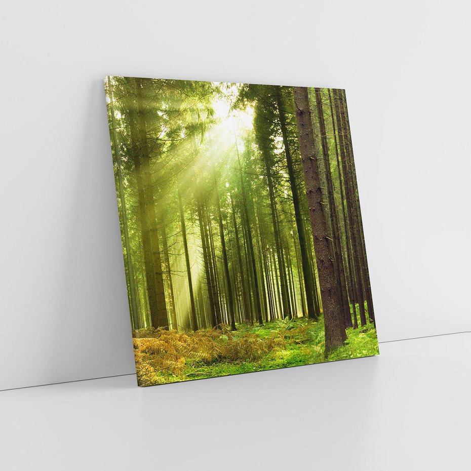 Obraz na płótnie 40x40 - Spokój wśród drzew: las w odcieniach zieleni - las, drzewa