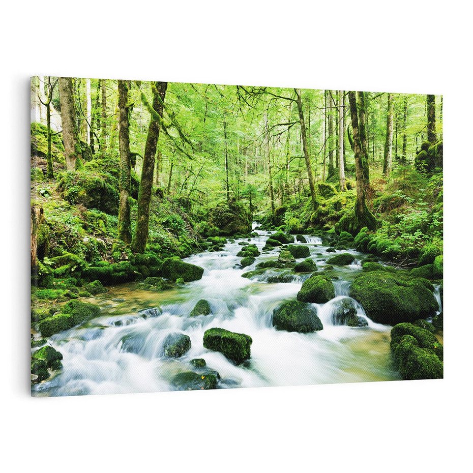 Obraz na płótnie 120x80 - Spokój Wodospadu: Las i Drzewa - wodospad, las