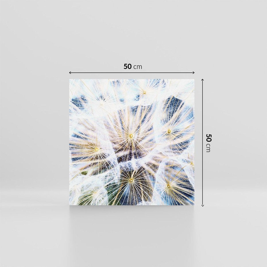 Obraz na płótnie 50x50 - marzenia w locie - dmuchawce, dmuchawiec