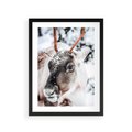 Plakat w ramie 30x40 - Renifer w Zimowej Krainie - renifer, zima - rama czarna