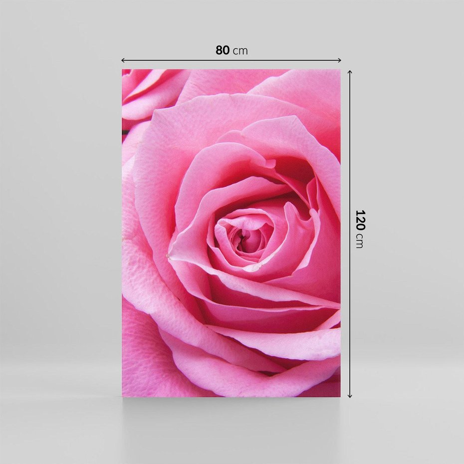 Obraz na płótnie 80x120 - Róża Wspaniałości - róża, kwiat