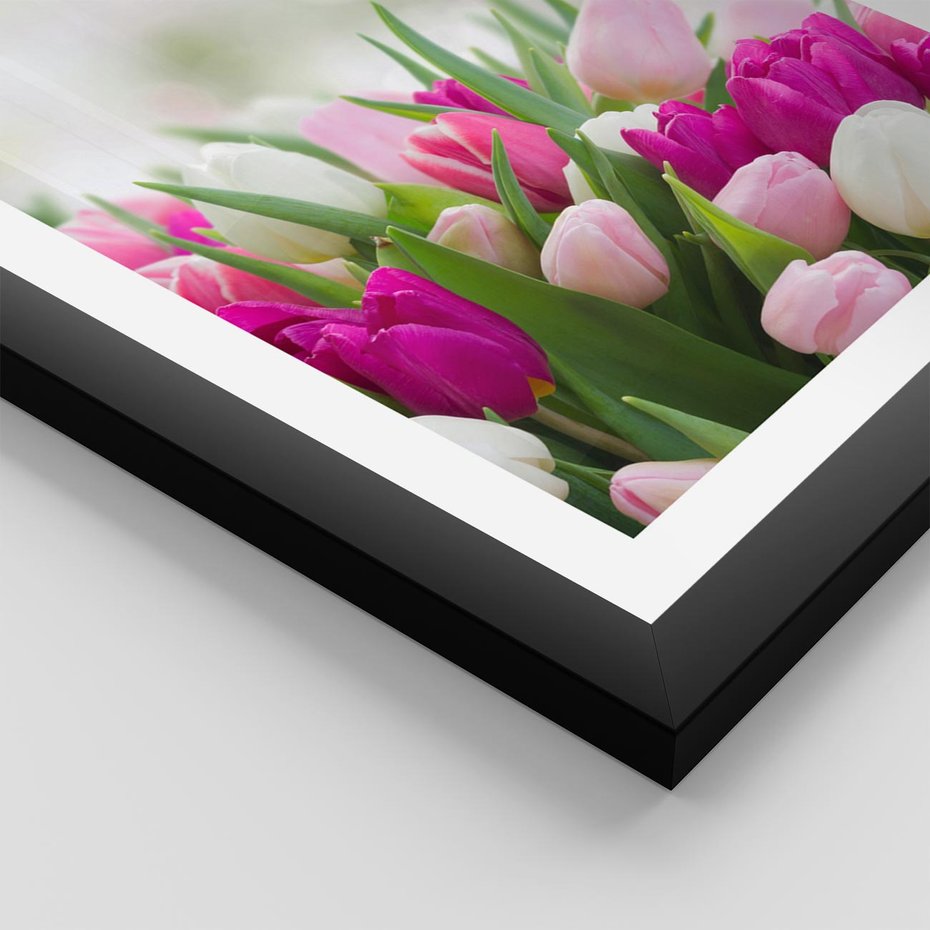 Plakat w ramie 30x40 - Tulipany w pełnym rozkwicie - tulipany, kwiaty - rama czarna