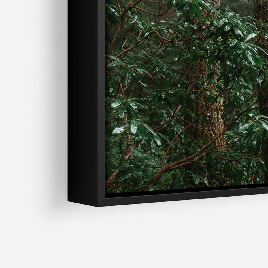 Obraz w ramie 70x50 - Mgliste Marzenia - artystyczna fotografia, las - rama czarna