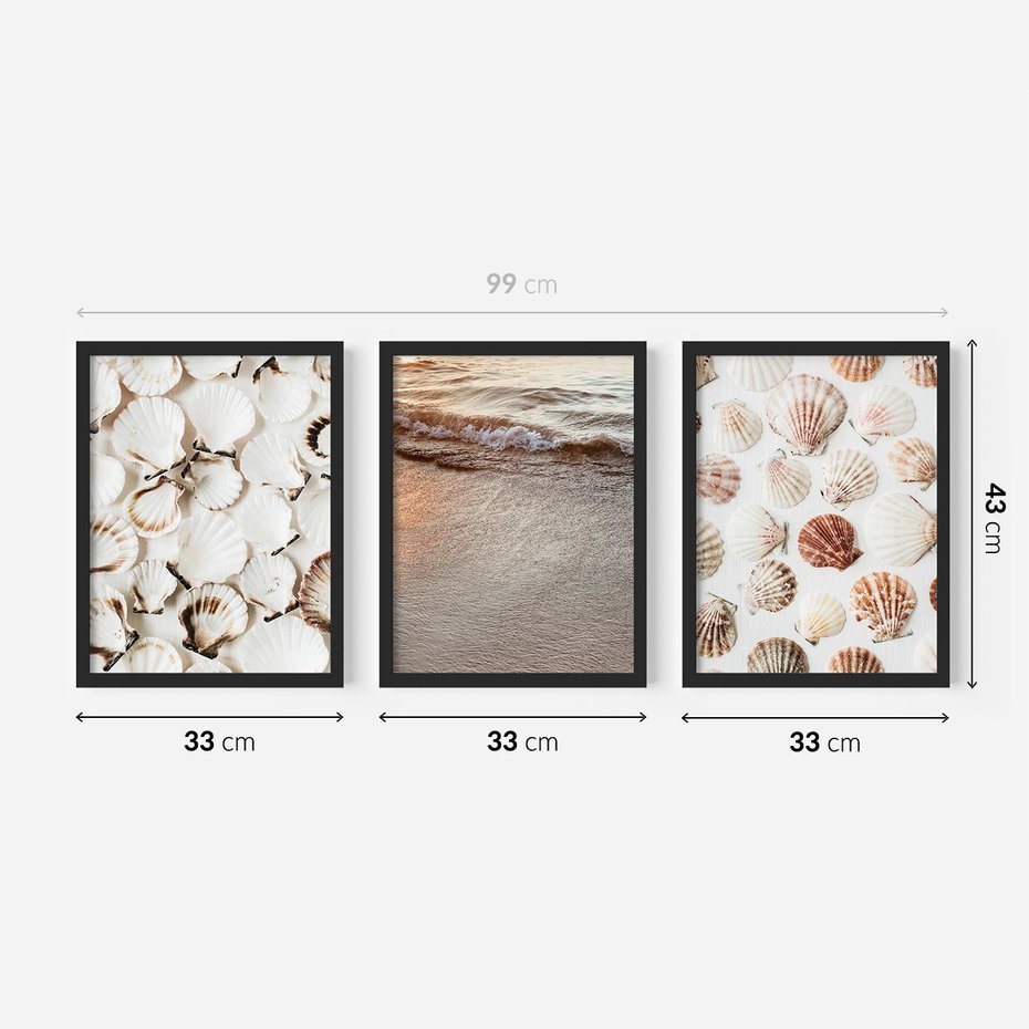 Zestaw obrazy w ramie 30x40 galeria - Morze, muszla, zachód, słońca - rama czarna