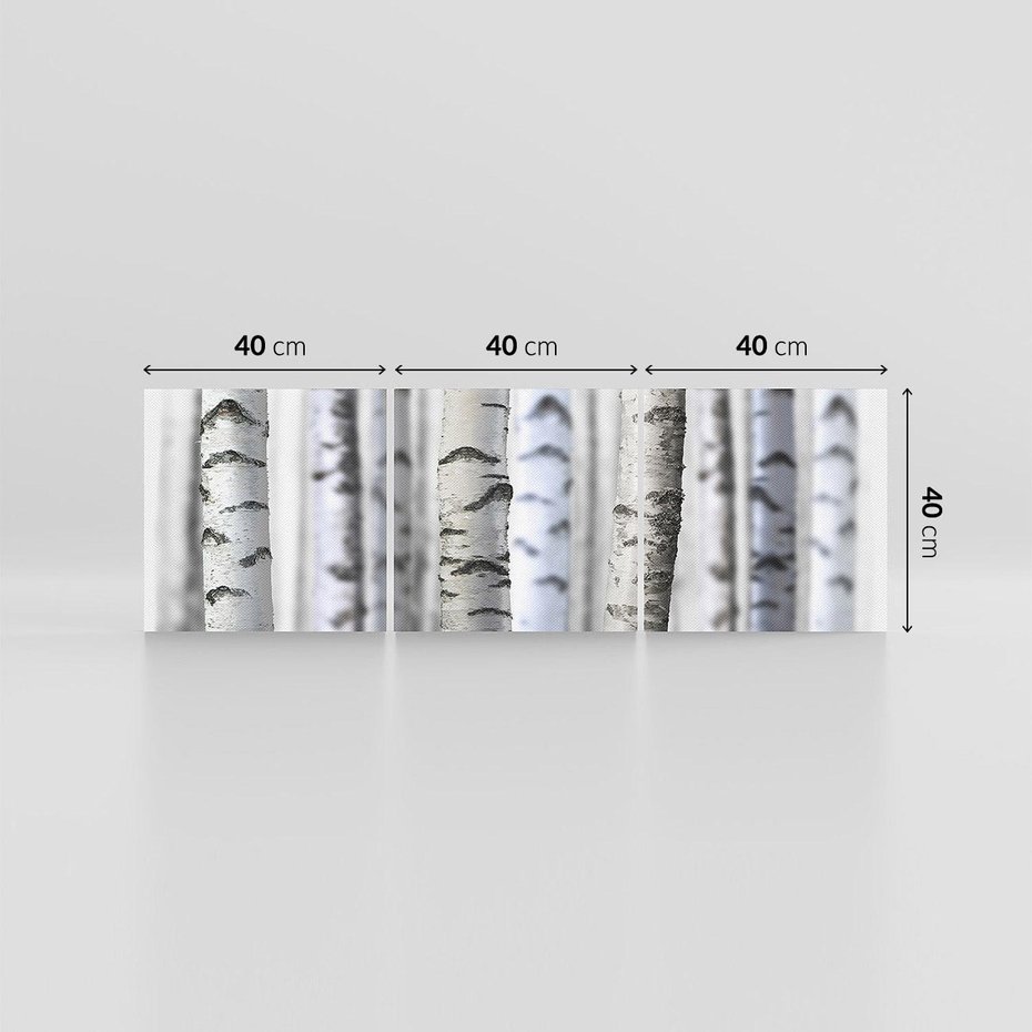 Obraz na płótnie 120x40 - Delikatność brzóz - brzozy, las