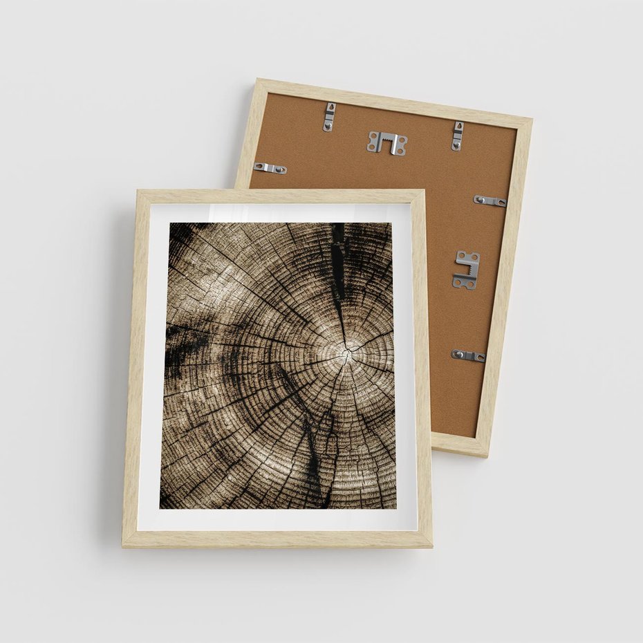 Plakat w ramie 40x50 - Natura Pod Lupą - pień drzewa, przekrój - rama drewno
