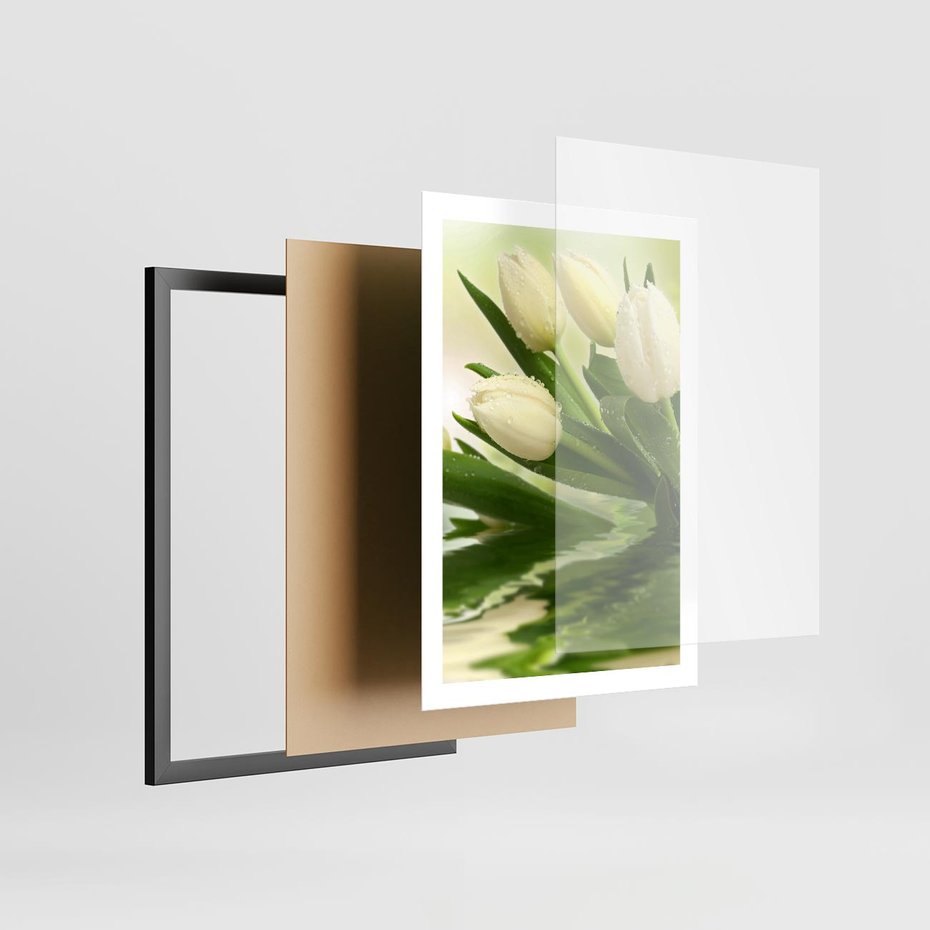 Plakat w ramie 50x70 - Białe Piękno - białe, tulipany - rama czarna