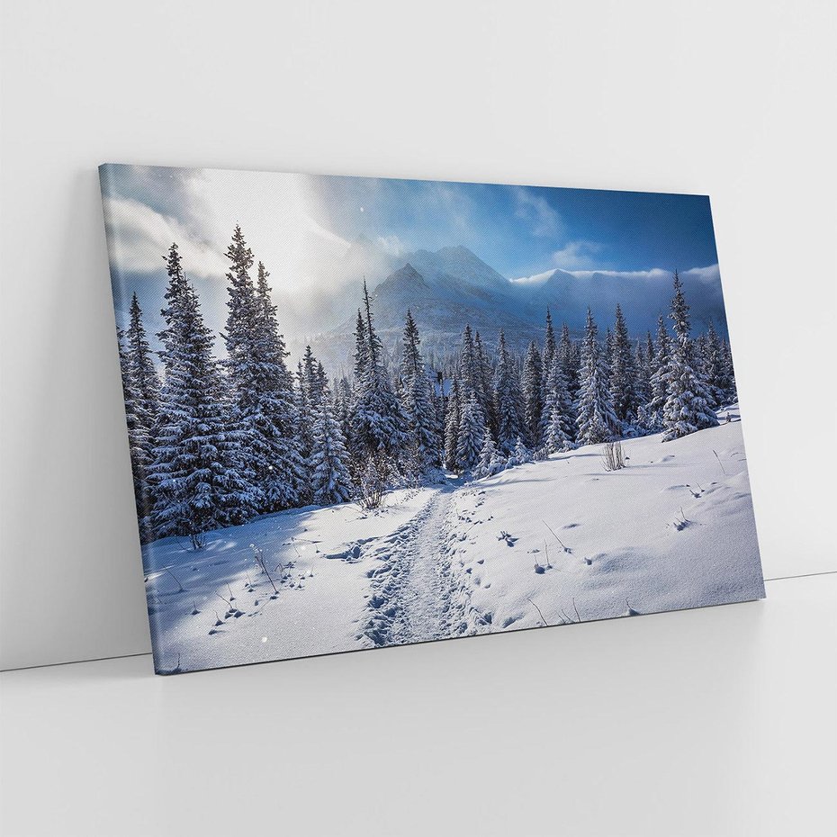 Obraz na płótnie 100x70 - Zimowe góry w lesie - góry, zima