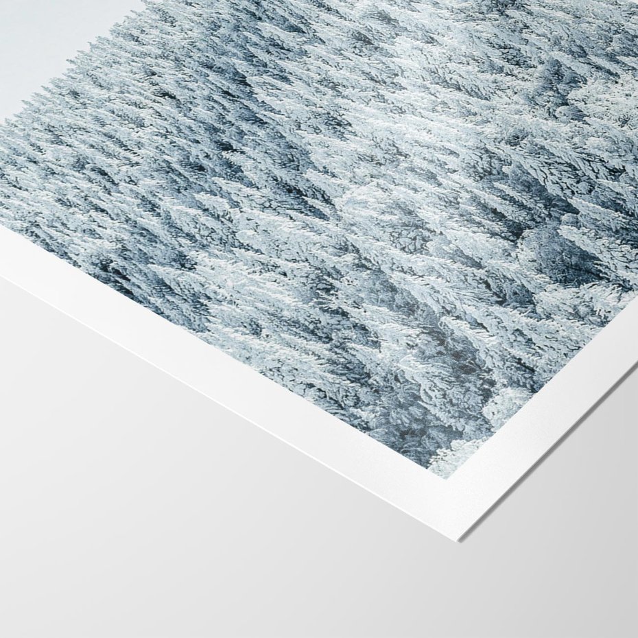 Plakat bez ramy 21x30 - Cicha Zima - las, zima