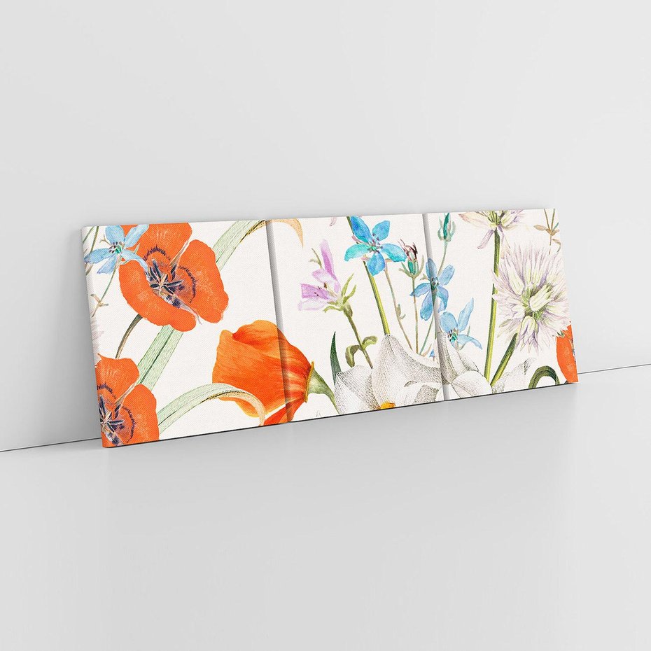 Obraz na płótnie 120x40 - Polne Kwiaty - polne kwiaty, na białym tle