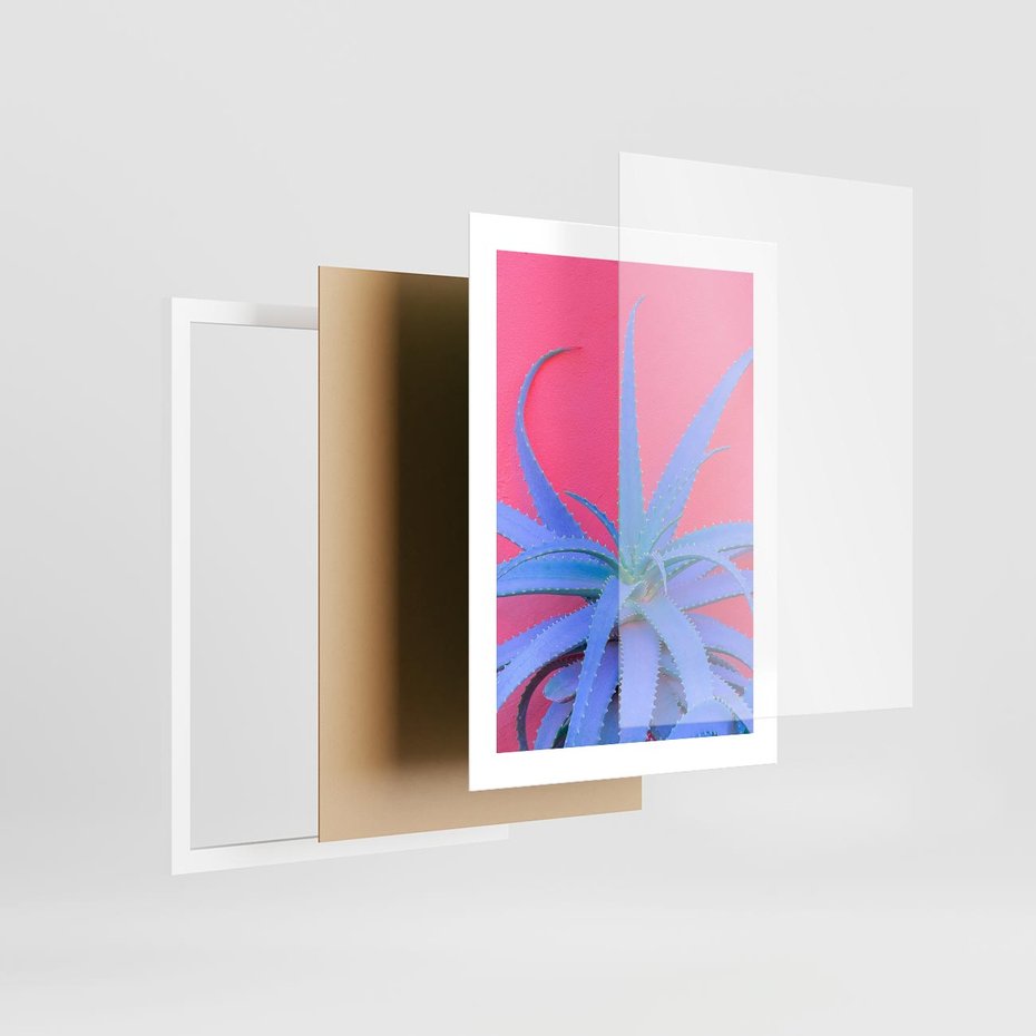 Plakat w ramie 30x40 - Piękno Pustyni - kaktusy, liście - rama biała