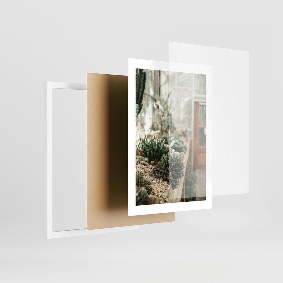 Plakat w ramie 30x40 - Sukulenty w Szklarni - sukulenty, w szklarni - rama biała